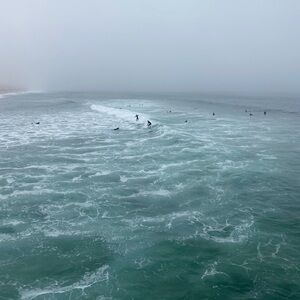 Meet your Posher, Ali